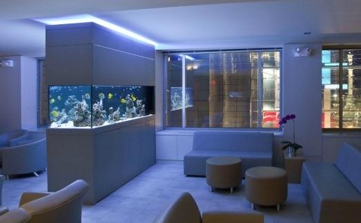 好风水鱼缸摆放实例-鱼缸怎么摆放才正确？